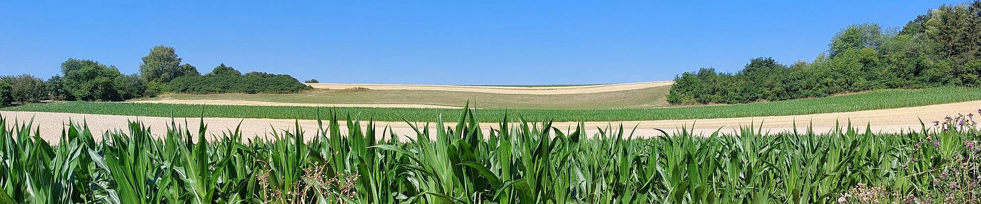 Quelle: AR kath an der Eschach